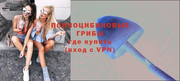 МДМА Алексеевка