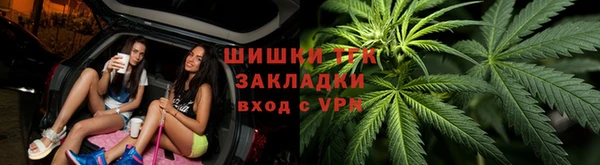 ПСИЛОЦИБИНОВЫЕ ГРИБЫ Новокубанск
